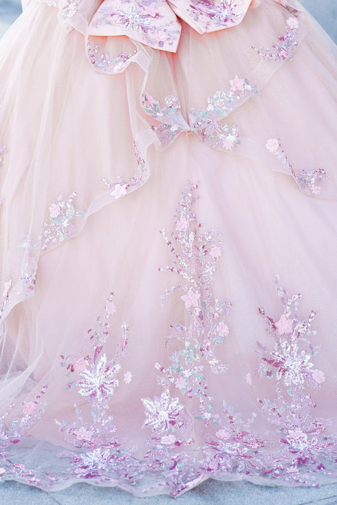 Enchanting Floral Details Quinceañera Ball Gown for Women, Sizes 4/XS-16/3X